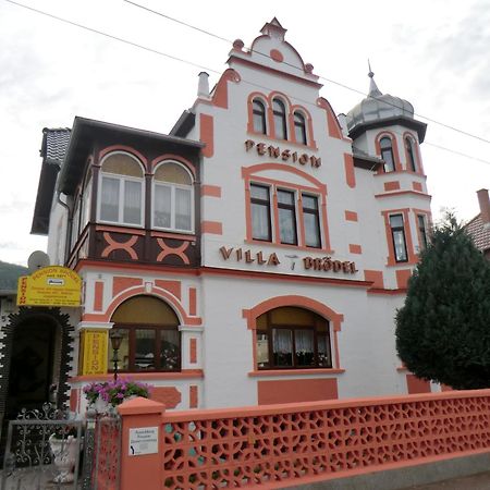 Pension Villa Broedel باد بلانكِنبورغ المظهر الخارجي الصورة